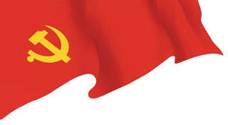如何做好志愿工作_志愿服务典型经验_志愿工作的优质经验做法