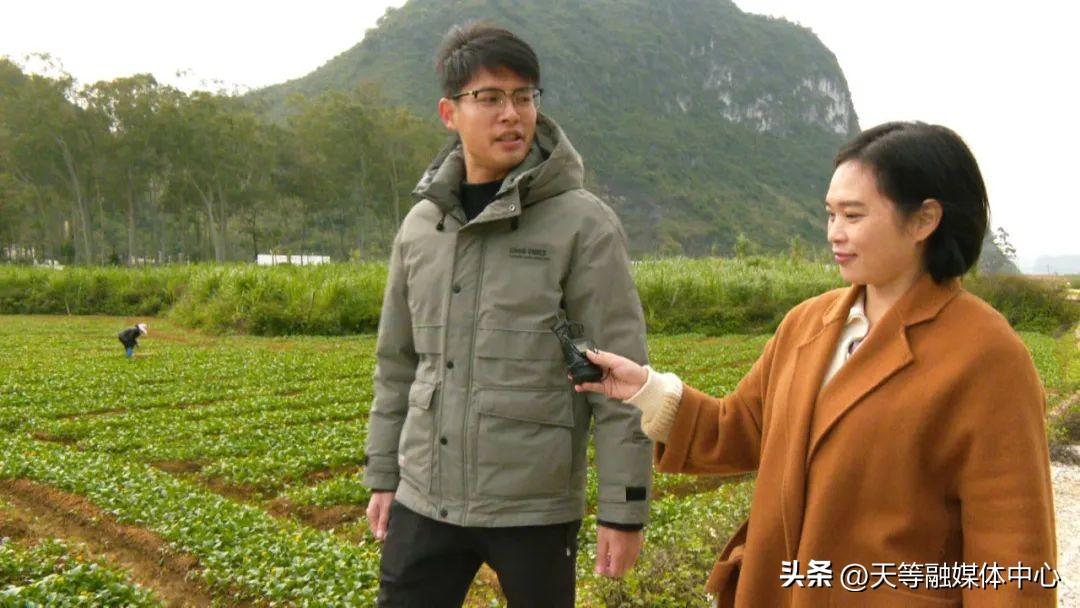 农村种植致富好项目_白领种植蘑菇致富_广西莱心种植致富新闻