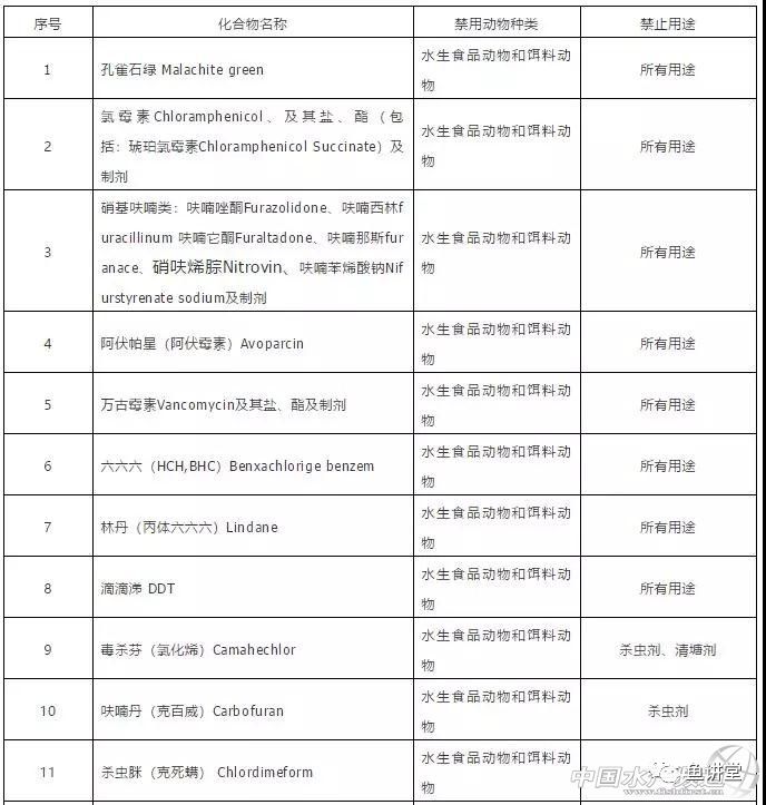 水产养殖致富经_养殖水产致富经_水产养殖赚钱