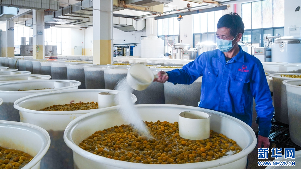 鸭粪出售_鸭粪可以卖钱吗_致富经之鸭粪再利用