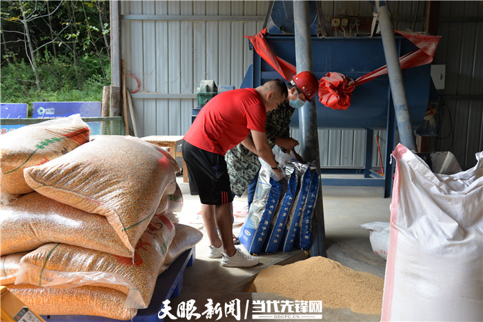 致富养殖小型猪场招聘_致富养殖小型猪场图片_养殖致富小型猪场