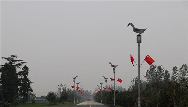 致富经之鸭粪再利用_鸭粪处理成有机肥利润_鸭粪出售