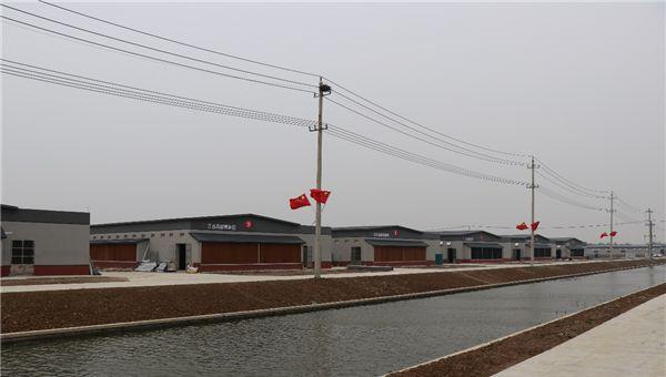 致富经之鸭粪再利用_鸭粪处理成有机肥利润_鸭粪出售