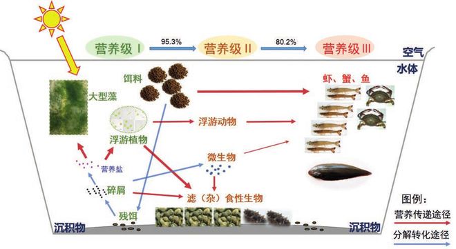 生态水产养殖 技术_养殖水产生态技术规范_水产生态养殖实施方案