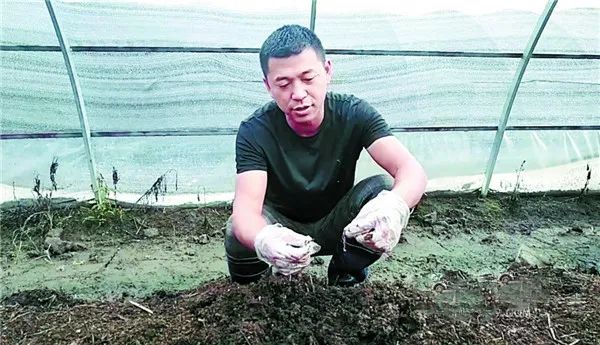 财富故事 | 凭借蚯蚓养殖，村民踏上循环农业致富路
