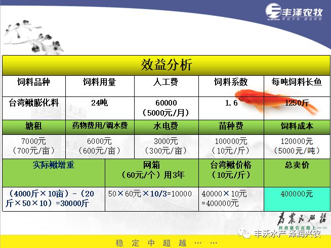 泥鳅的泥鳅养殖技术_泥鳅养殖技术与养殖方法_泥鳅养殖技术问答