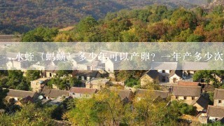 水蛭（蚂蟥）多少年可以产卵？一年产多少次卵分别在哪几什么时候几月份。请专业认识回复！谢谢？