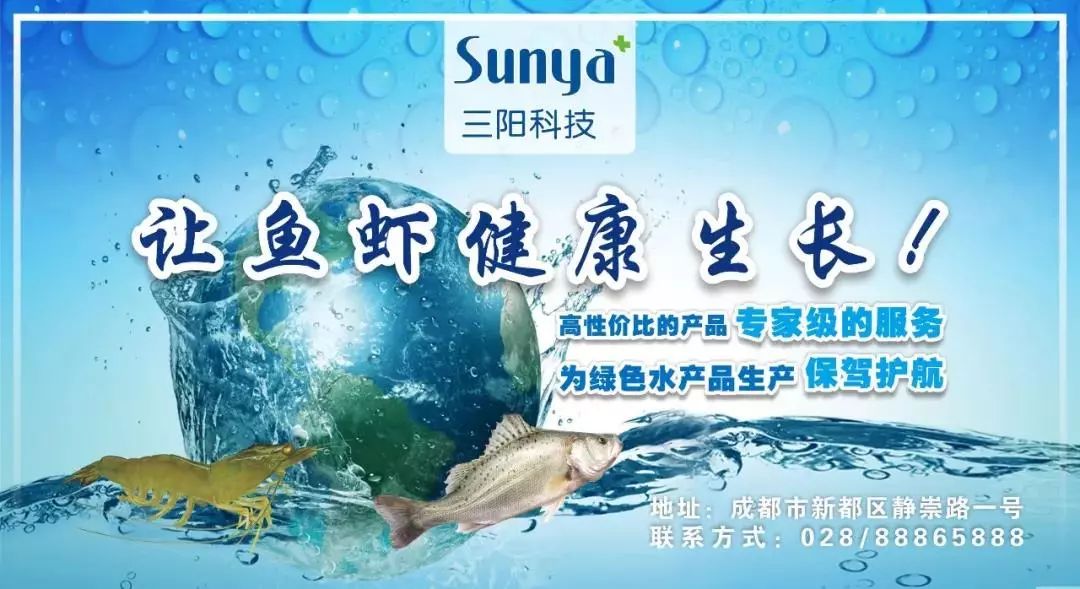 泥鳅的泥鳅养殖技术_泥鳅养殖技术问答_泥鳅养殖技术教程
