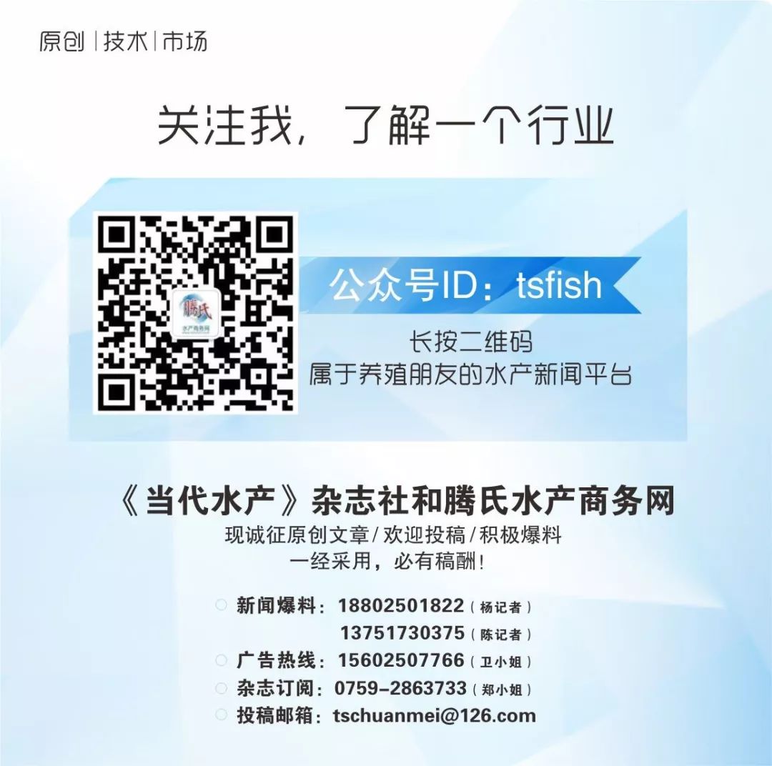 泥鳅养殖技术问答_泥鳅养殖技术教程_泥鳅的泥鳅养殖技术