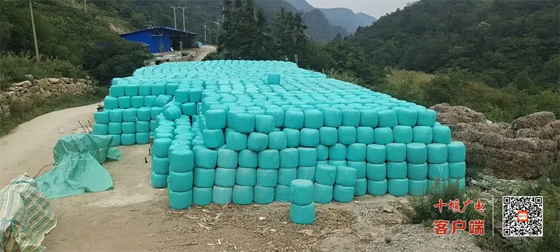 秸秆养殖致富设备_秸秆养猪技术_农村秸秆的致富经