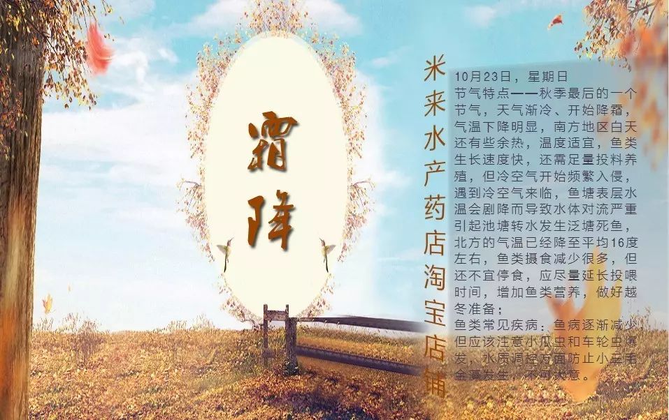 泥鳅养殖技术教程_泥鳅养殖技术问答_泥鳅的泥鳅养殖技术