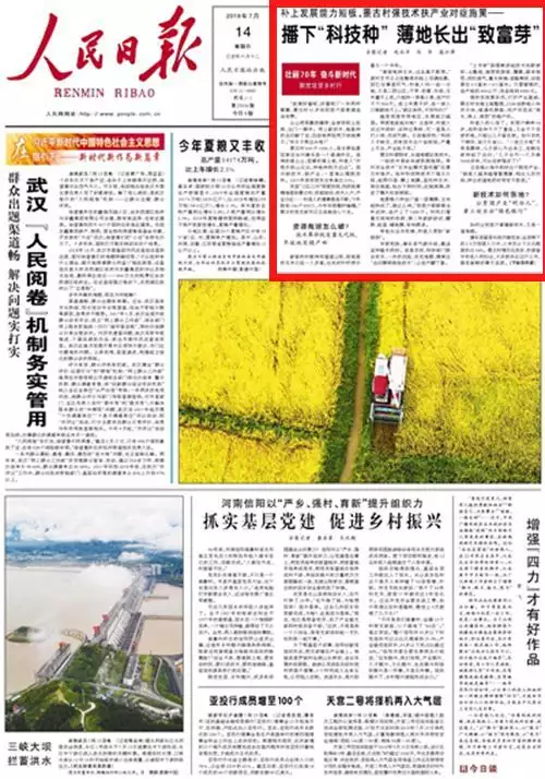 播下“科技种” 薄地长出“致富芽”播报文章
