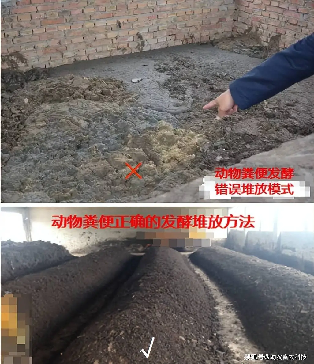秸秆发酵饲料制作方法_秸秆发酵养殖致富_秸秆发酵的好处