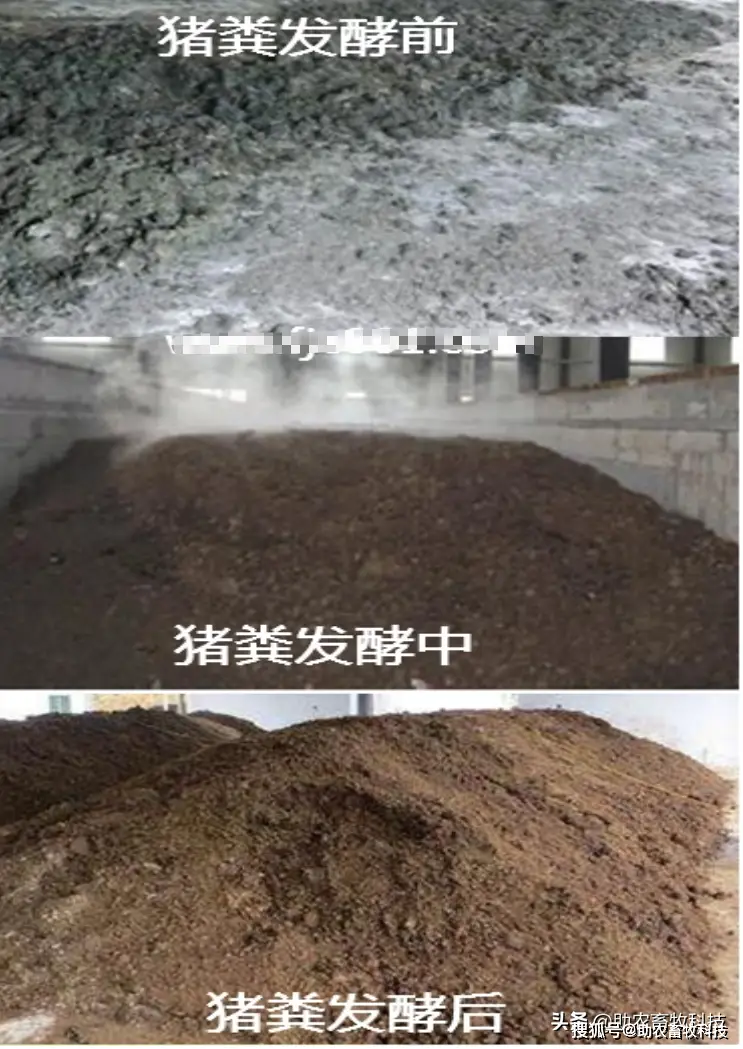 秸秆发酵饲料制作方法_秸秆发酵养殖致富_秸秆发酵的好处