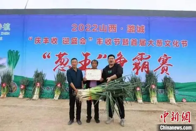 大葱赚钱吗_致富经小葱种植_致富经大葱