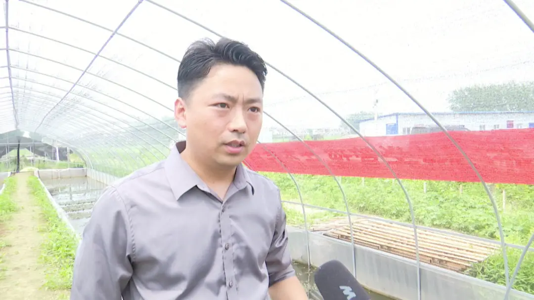 致富养殖牛蛙怎么样_致富养殖牛蛙_致富养殖牛蛙视频