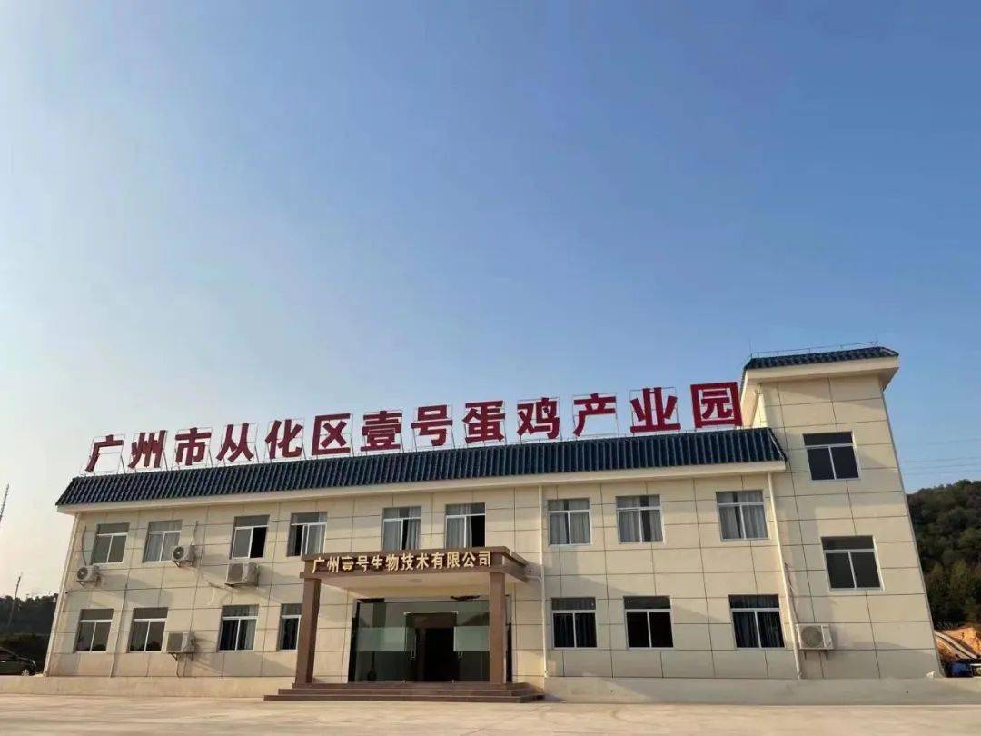 【乡村振兴】以“小”博“大” 全力打造大湾区“菜篮子”示范基地