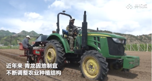 秦皇岛种植什么果树_秦皇岛种植致富项目_秦皇岛适合种植什么药材