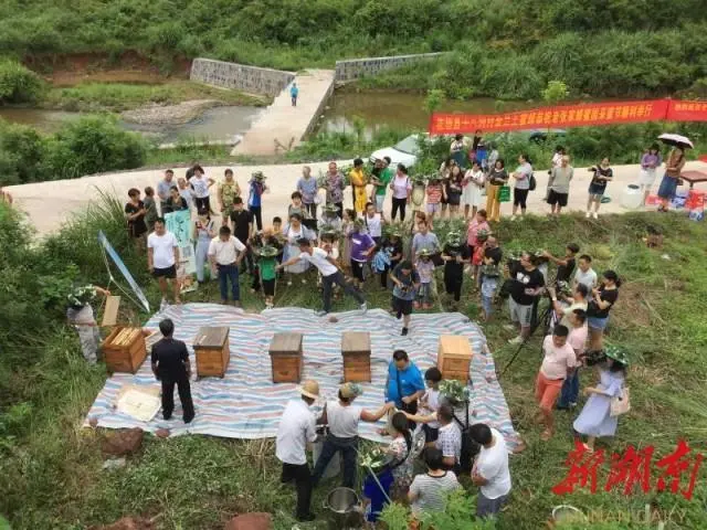 致富经养蜂蜜_致富经养蜂视频播放_致富经养蜜蜂