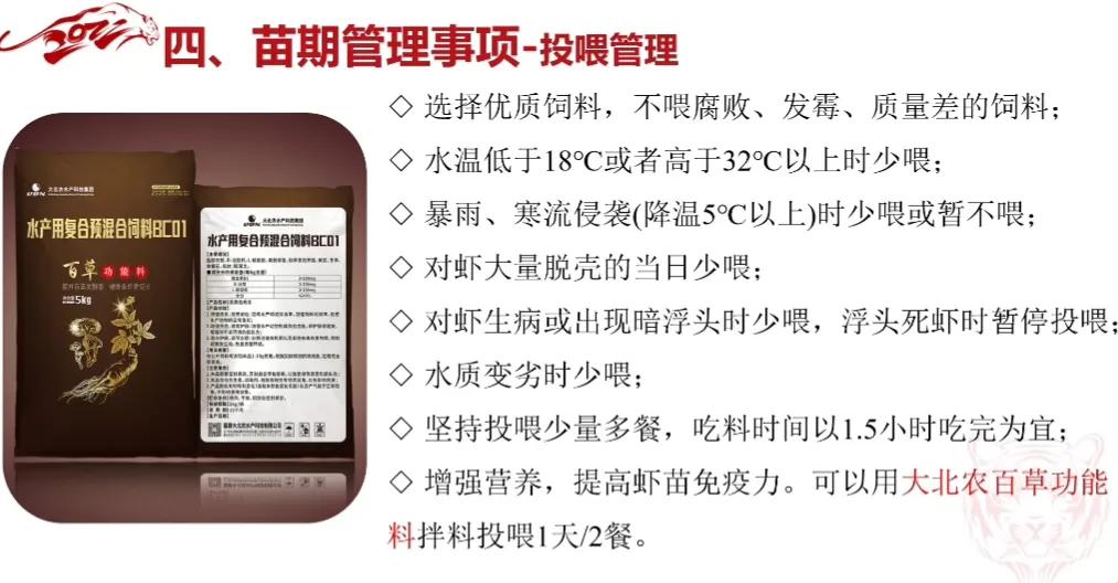 养殖技术指导方案_养殖方案指导技术包括_养殖技术方案怎么写