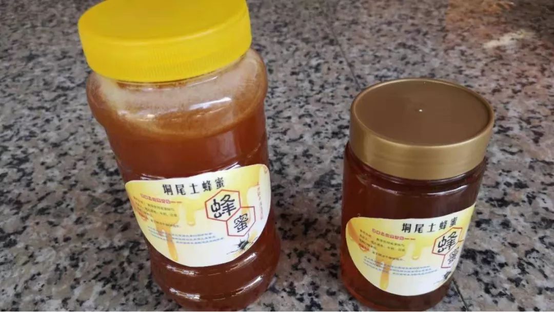 姜山怎么种植_山姜种植致富故事_山姜种植致富