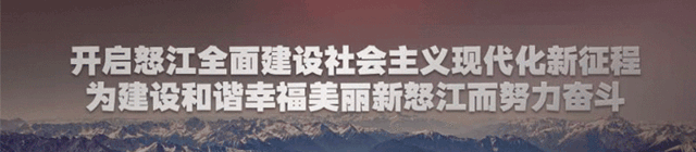 怒江为什么要大力发展草果绿色香料产业？这场新闻发布会告诉你