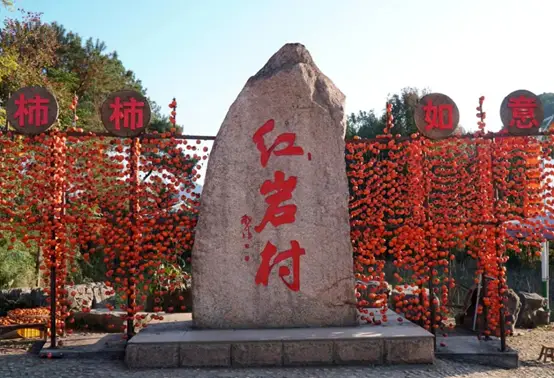 种植莴笋致富_莴笋种植赚钱吗_致富种植莴笋视频