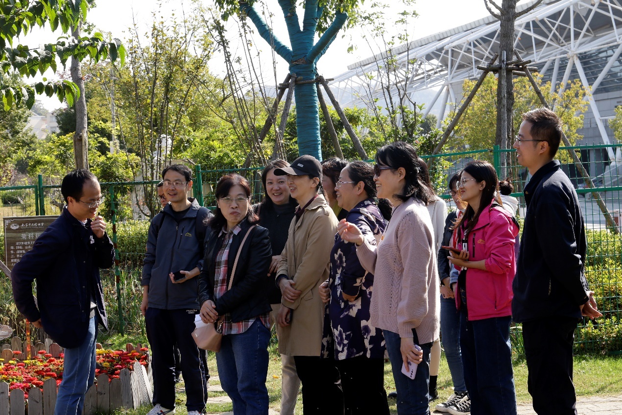 家庭盆栽藿香种植技术_盆栽种植家庭藿香技术方法_盆栽种植家庭藿香技术要点