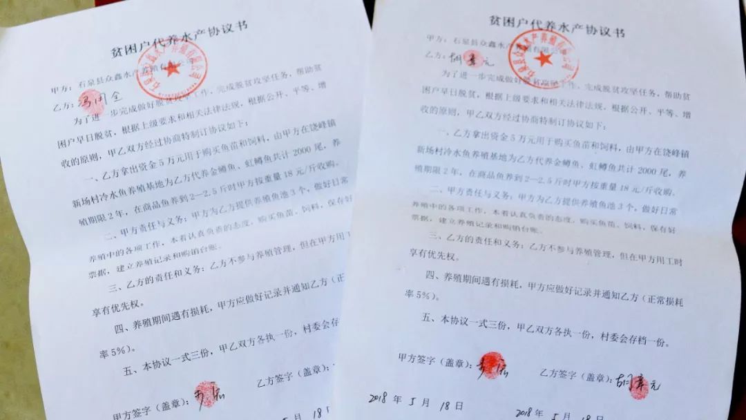 金鳟鱼养殖环境_金鳟鱼苗批发_西安金鳟鱼养殖技术