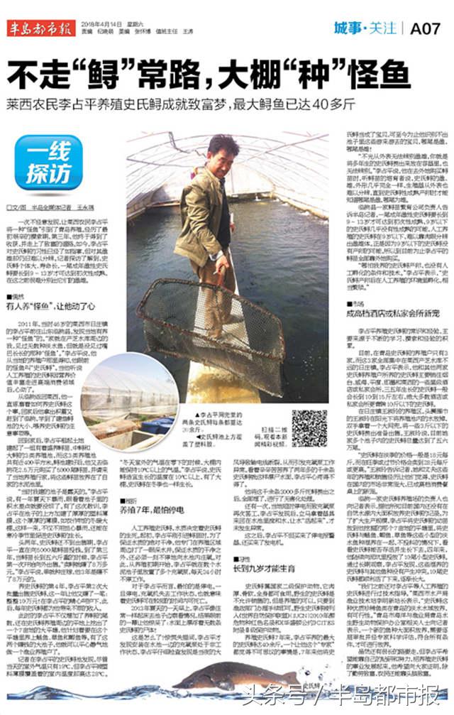不走“鲟”常路，莱西农民大棚里“种”怪鱼