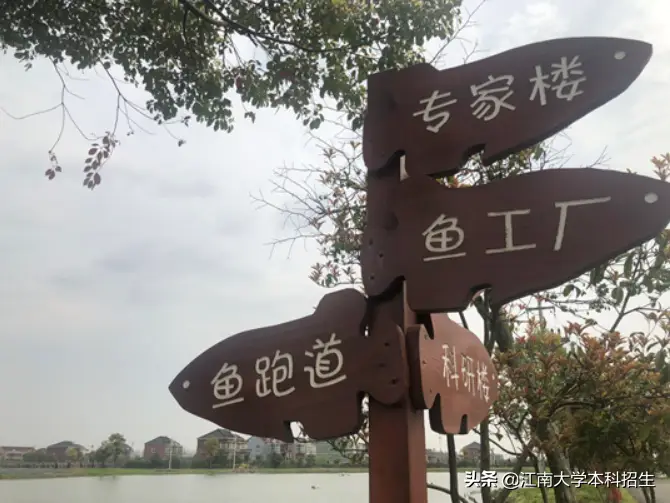 河北养殖有限公司_河北省对养殖业有补助吗_河北致富经养殖业