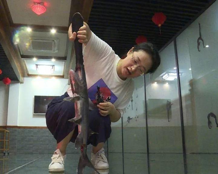 特种怪鱼网友致富经_致富特种怪鱼网友微博_致富特种怪鱼网友视频