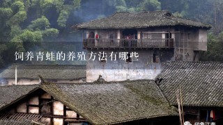 饲养青蛙的养殖方法有哪些