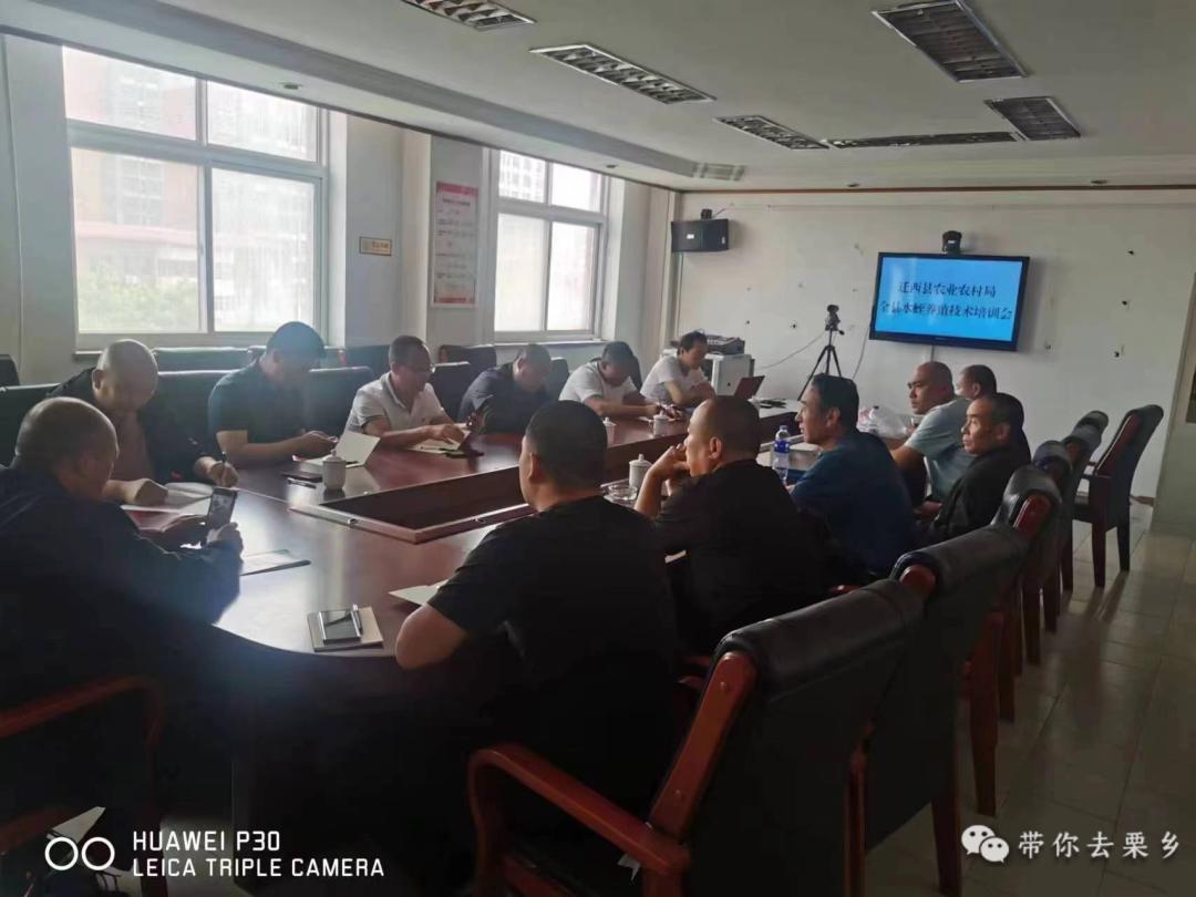 养殖水蛭最新技术_水蛭养殖技术价格_养殖水蛭前景如何