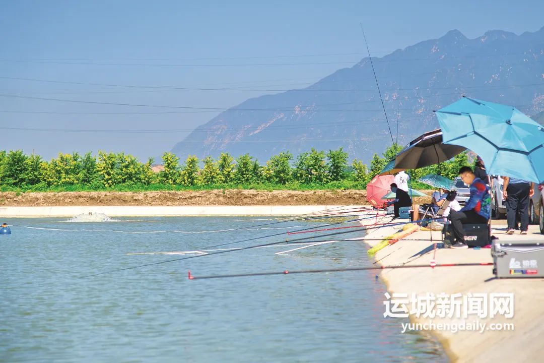 养殖招聘锦鲤信息技术人员_锦鲤养殖场招聘_锦鲤养殖技术招聘信息