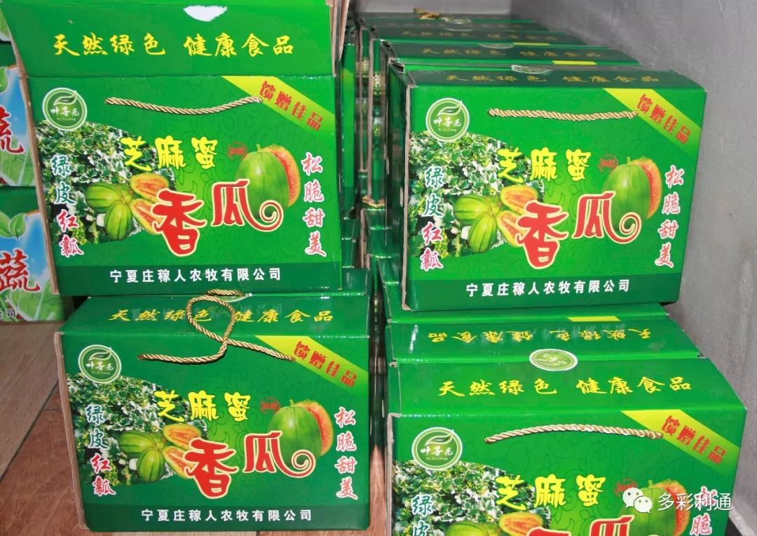 种植香瓜的方法_香瓜种植致富方法_致富种植香瓜方法视频