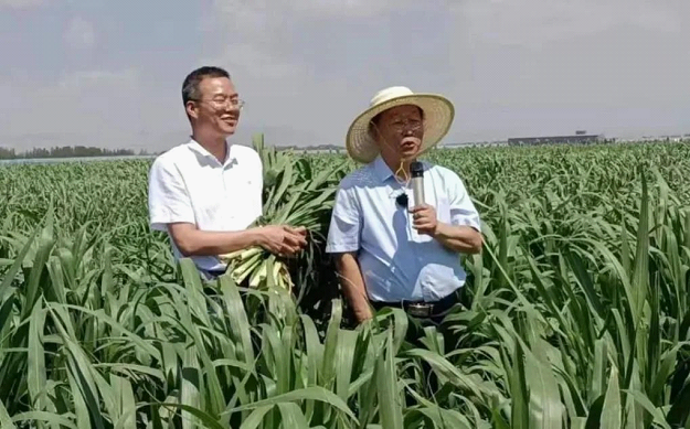 重庆养殖致富故事_重庆农村养殖好项目_农村养殖致富故事