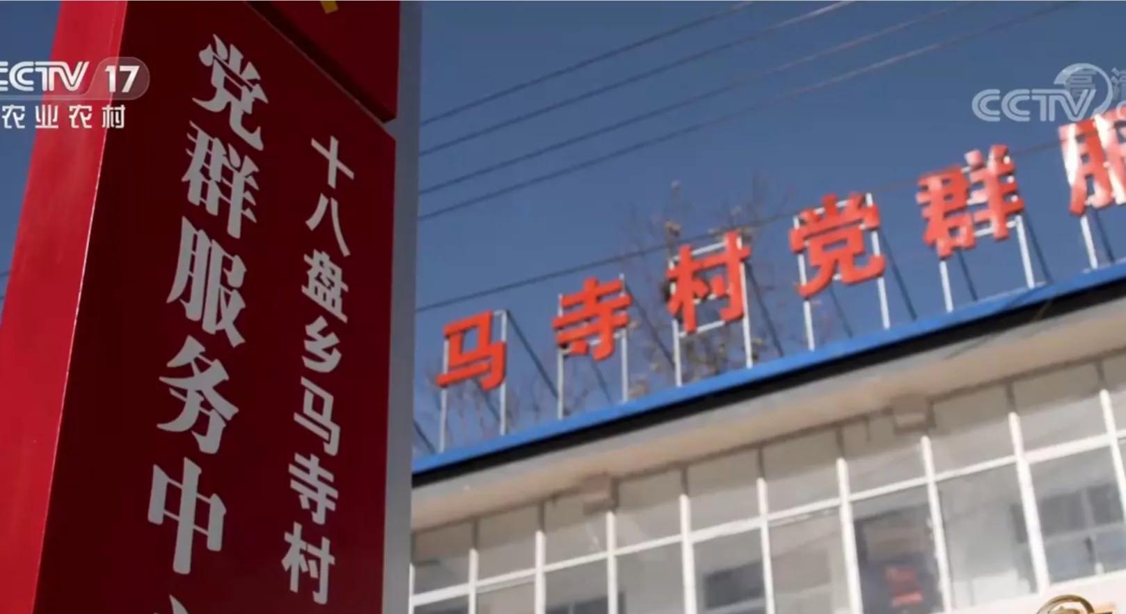 河南男子靠3栋大棚起步，如今带领全村致富，年销售额2200万