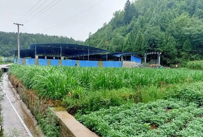 致富养殖信息_致富养殖好项目大全_最新致富项目养殖