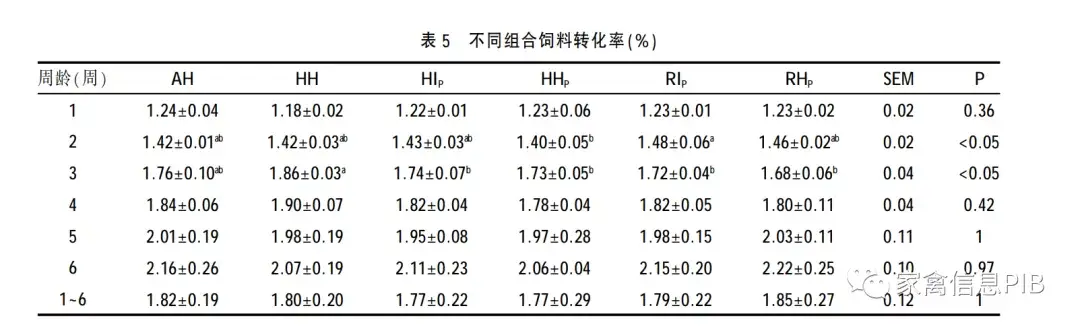 脚鸡怎么办_黑脚肉鸡养殖技术_脚鸡怎么形成的