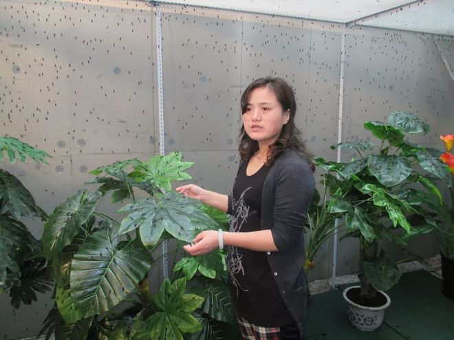 河北女孩，14岁辍学，18岁返乡创业，21岁年入百万，她干的啥