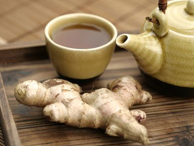 生姜种植新技术_鲜生姜怎么种植技术_鲜生姜怎么种