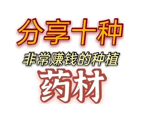 种植粮食不赚钱？来种植这10种药材吧，技术简单收益高!