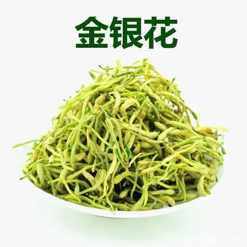 江西种地_江西种植基地_江西种植什么致富