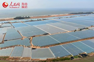 海南养殖创业致富_在海南搞养殖_海南养殖户