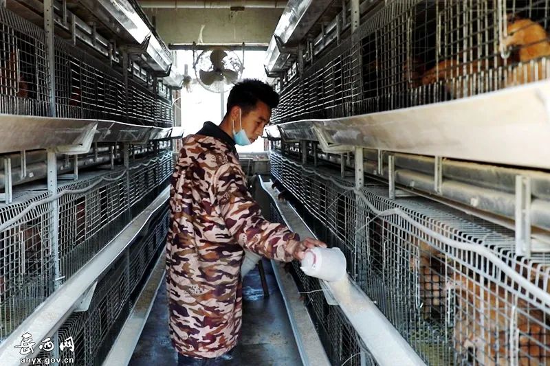 致富养猪场小说_致富小伙养殖小说全文阅读_小伙养殖致富小说