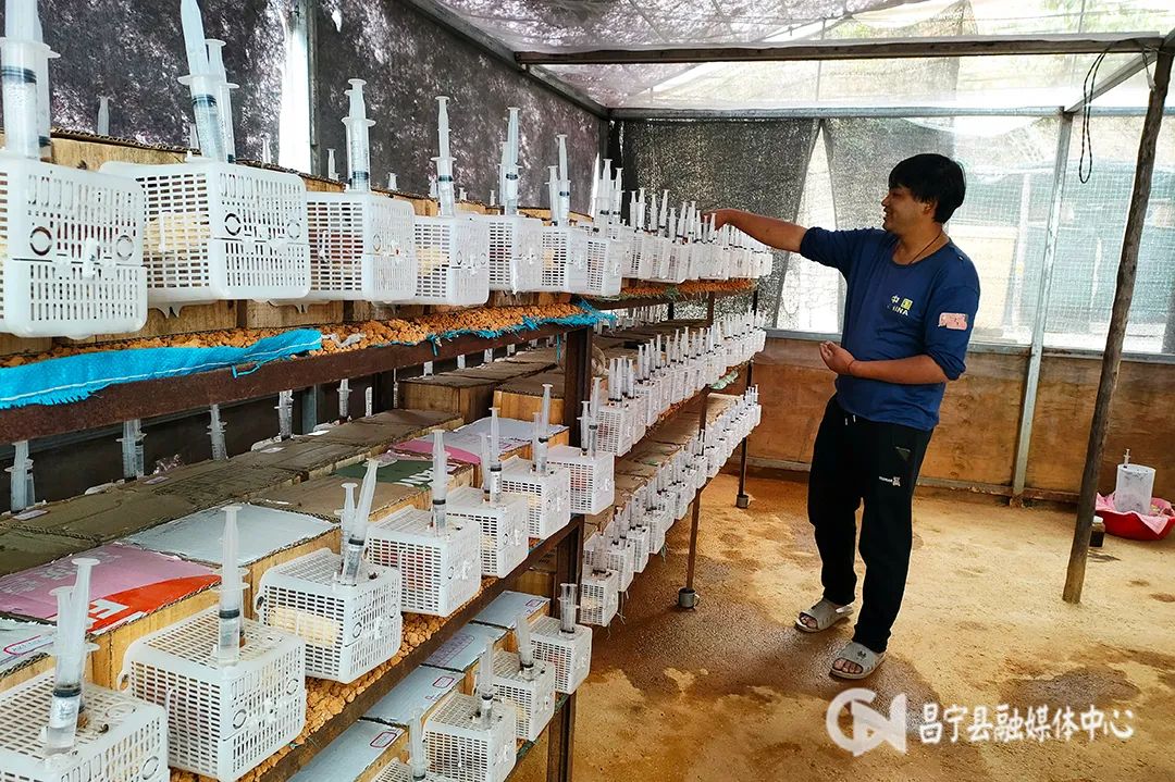 致富经养鸡小伙_致富小伙养殖小说免费阅读_小伙养殖致富小说