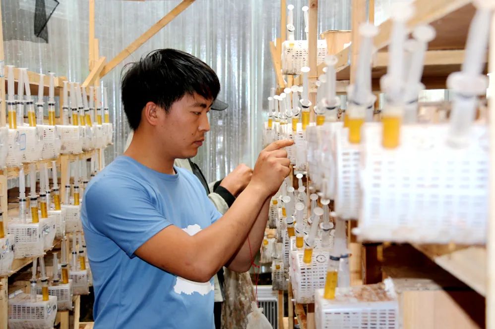 致富经养鸡小伙_致富小伙养殖小说全文阅读_小伙养殖致富小说