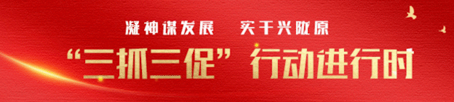 南瓜种植板栗管理技术视频_板栗南瓜种植技术和管理_南瓜种植板栗管理技术与管理