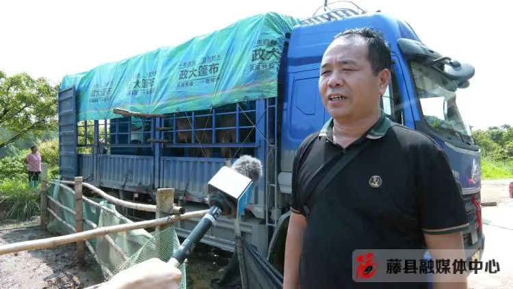 小伙养殖致富小说_致富小伙养殖小说在线阅读_致富经养鸡小伙